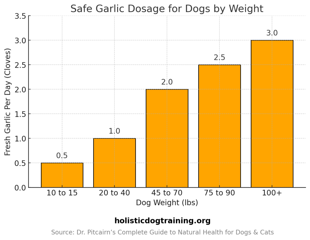 Safe garlic dosage for dogs by weight – recommended garlic intake per day based on dog size