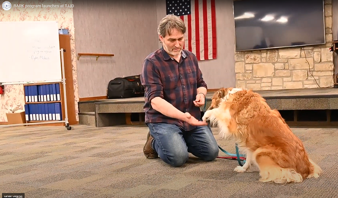 image picturing a person offering his hand and dog responding with their paw
